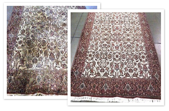 Professional Oriental Rug Cleaning